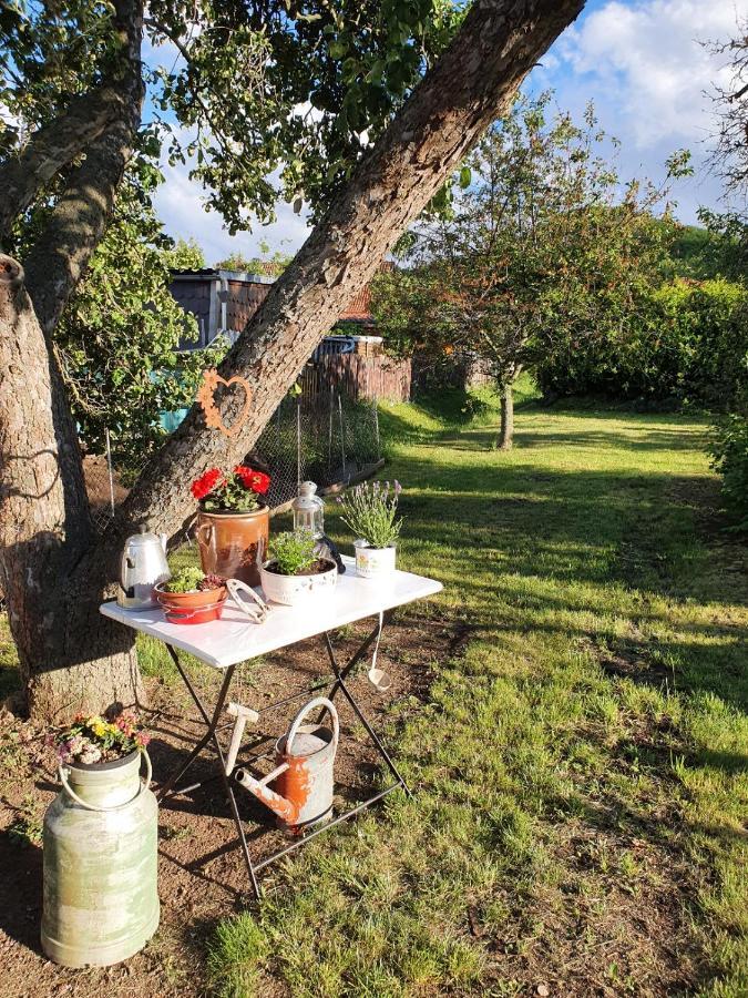 Ferienhaus "Am Staufenberg" Blankenburg  Exteriér fotografie