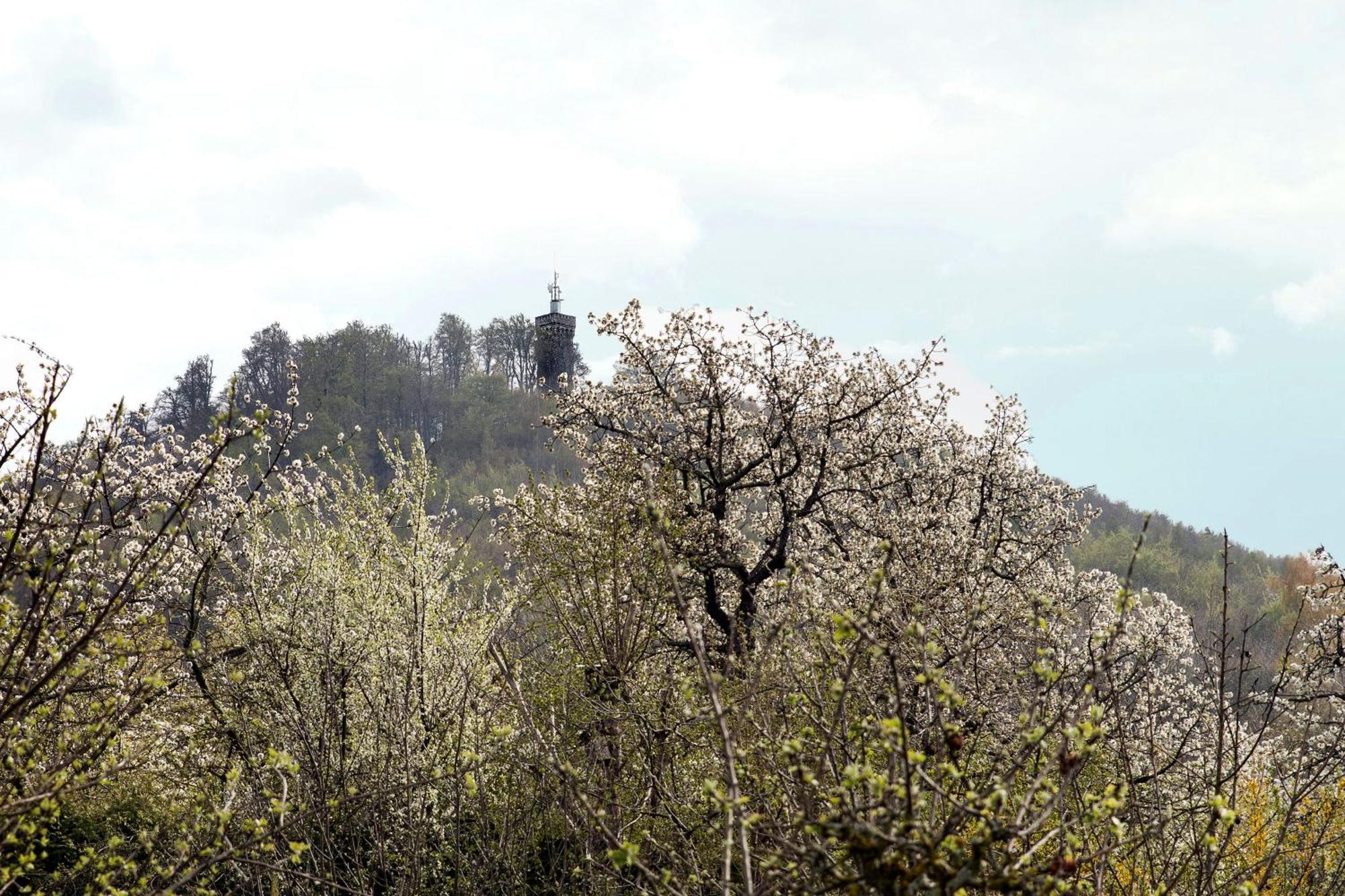 Ferienhaus "Am Staufenberg" Blankenburg  Exteriér fotografie